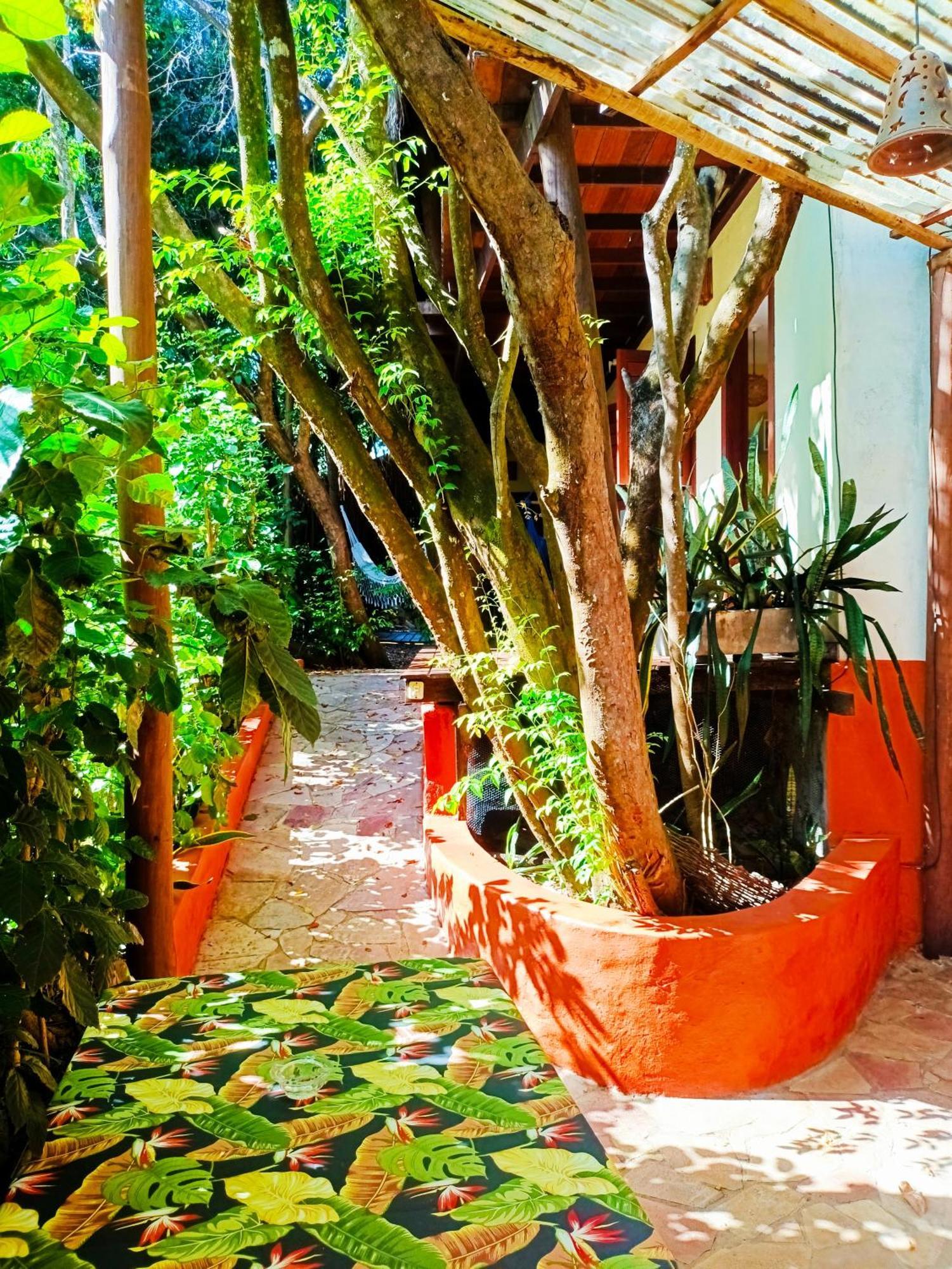 Pipa Zen Guest House Praia de Pipa Extérieur photo